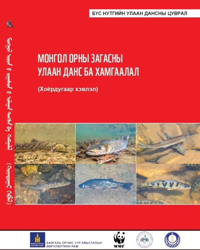 Mońǵolııa sırek kezdesetin janýarlar men qustar tizimin jańartty