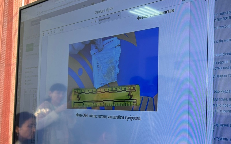 Qarakesek лақап атымен танымал әнші есірткі сақтағаны үшін қоғамдық жұмысқа тартылады