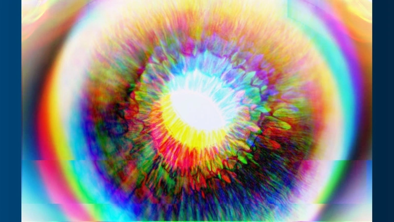 Virtual animals grow vision from scratch