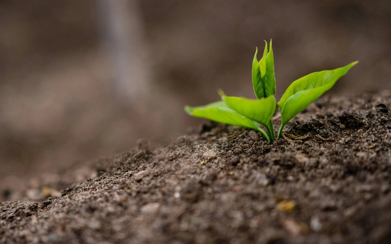 Kyrgyzstan bans export of mineral fertilizers