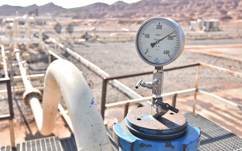 Turkmenistan reports industrial and agricultural production growth in 2025