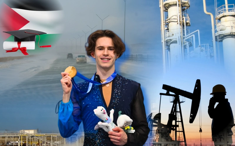 шолу