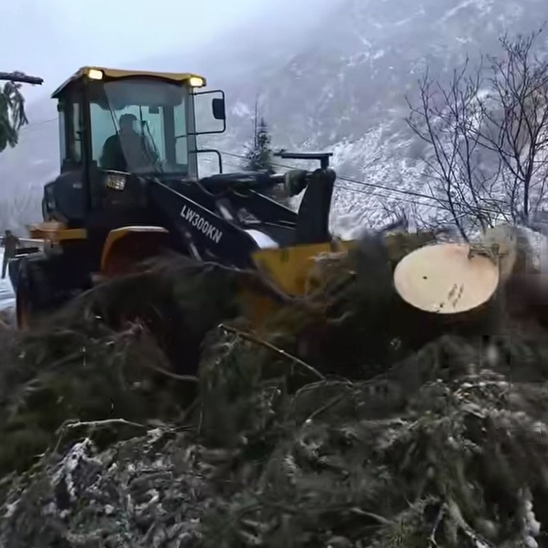 В результате падения дерева&nbsp;оказался заблокирован участок трассы в&nbsp;районе Горельника.&nbsp;