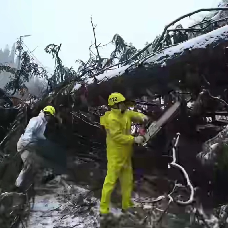 В результате падения дерева&nbsp;оказался заблокирован участок трассы в&nbsp;районе Горельника.&nbsp;