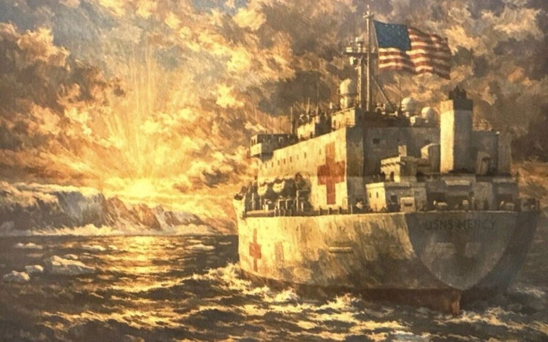 Greenlandic PM says ‘No, thank you’ to Trump’s idea to send a hospital ship to Greenland