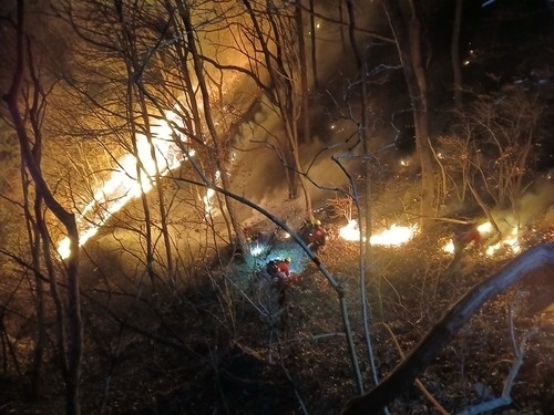 Небраска штатындағы орман өрті 324 мың гектар жерді шарпыды