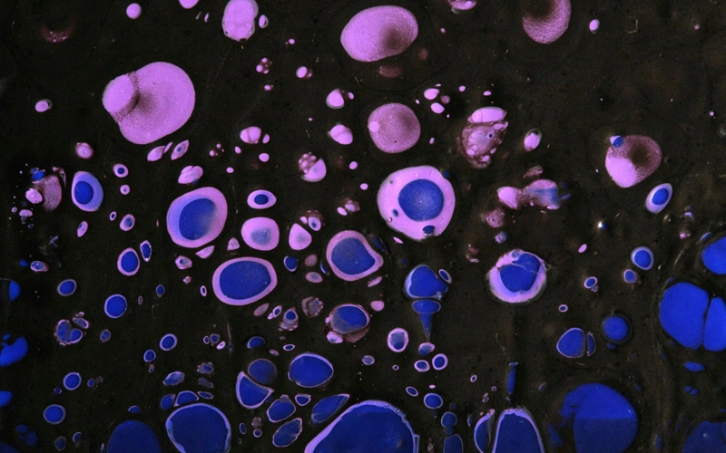 Promise or peril? Japan’s stem-cell gamble sparks concerns