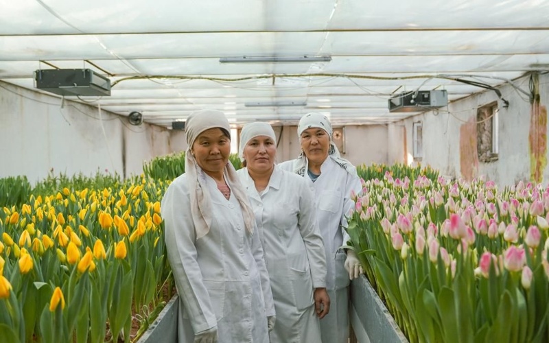 Семь тысяч тюльпанов расцвели в&nbsp;ботаническом саду Туркестана