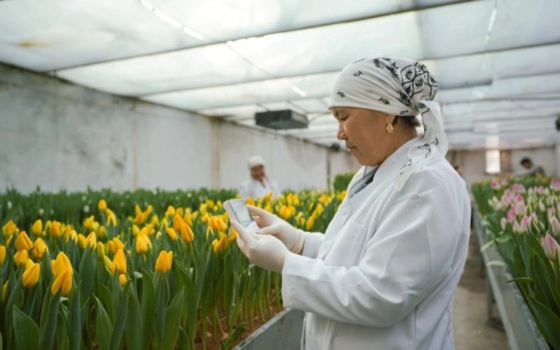 гуллар гуллар