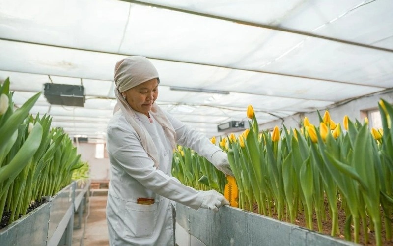 гуллар гуллар