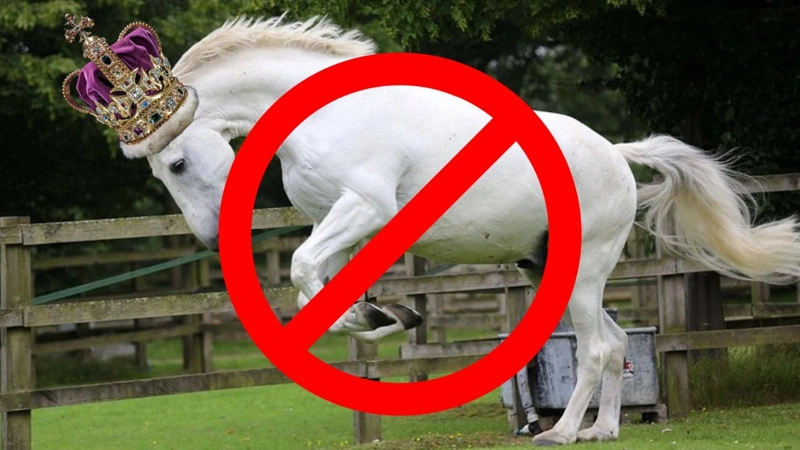 Former Prince Andrew banned from horse riding