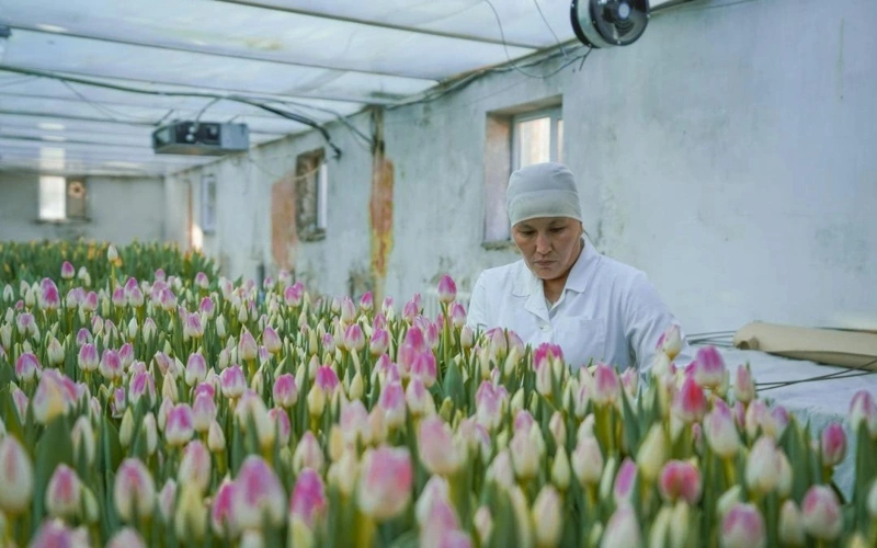 гуллар