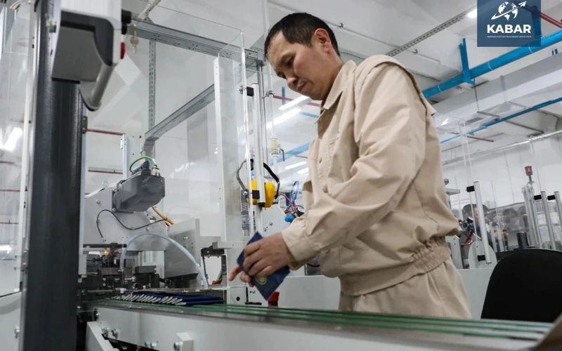 Kyrgyzstan commissions 119 enterprises in 2025