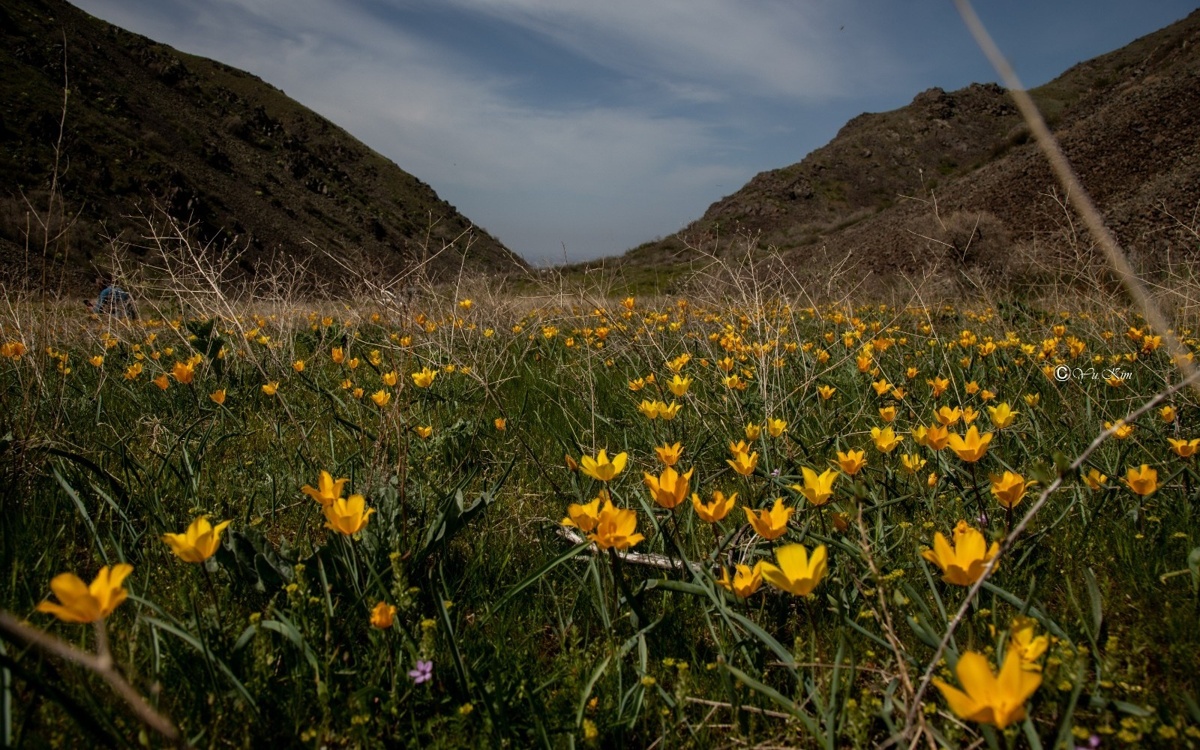 Кей өңірде 30 градус ыстық болады