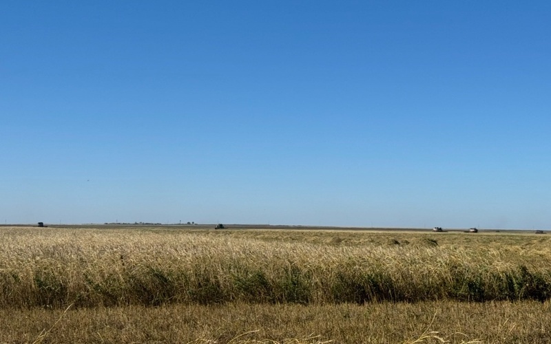 Посевная в Костанайской области