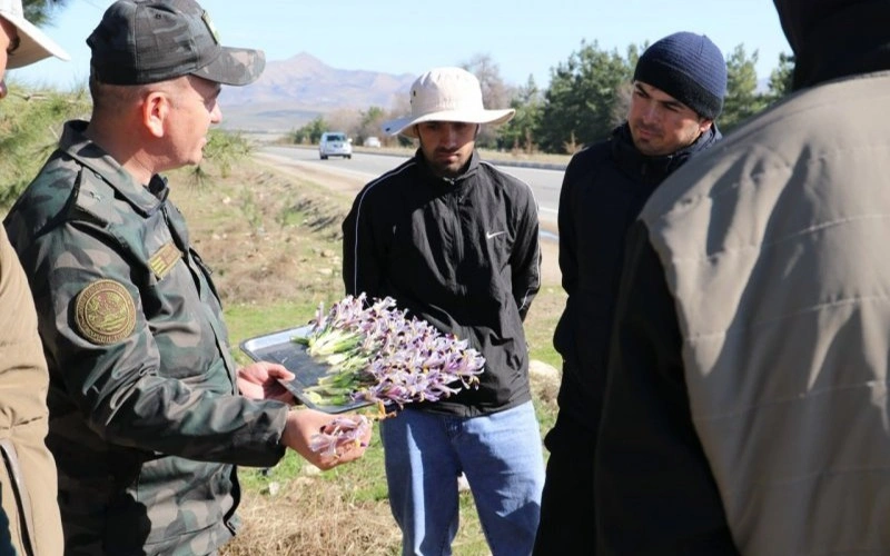 Tajikistan bans picking and selling wild seasonal flowers