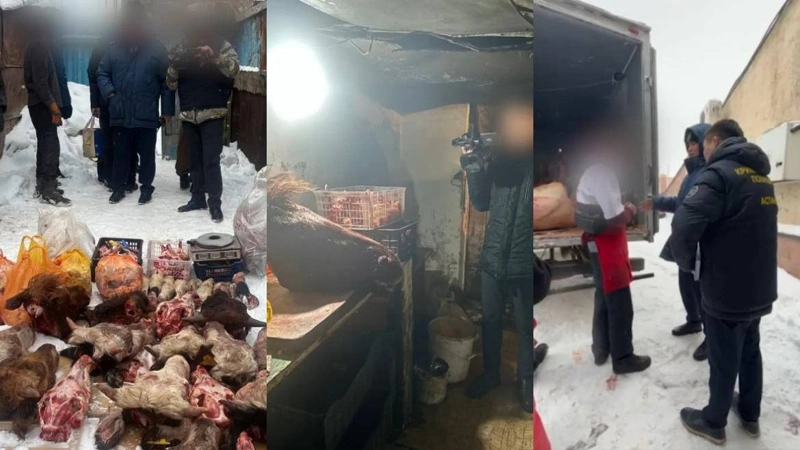 Elordada sanıtarııalyq talaptardy buzǵan zańsyz et tsehynyń qyzmeti toqtatyldy