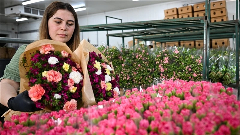 Türkiye exports 80mn flowers to 35 countries for International Women’s Day