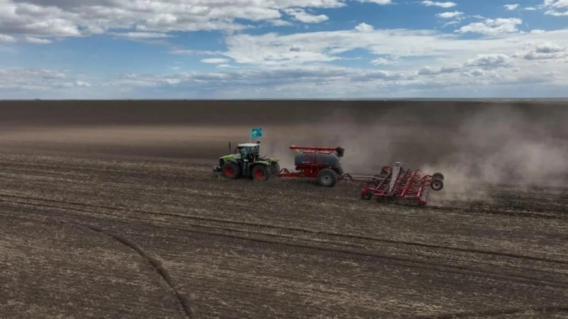 Annual grain processing in Kazakhstan reaches 5 mln tons