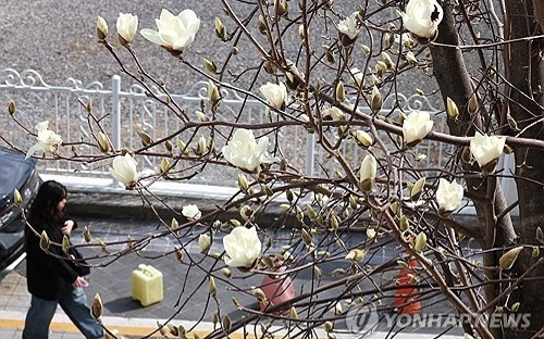 South Korea’s life satisfaction stalls as suicide rate climbs 