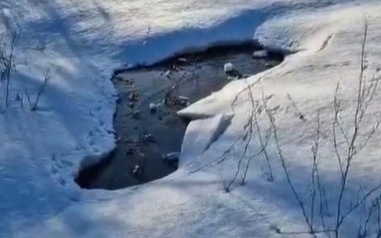 Oralda káriz sýynyń Shaǵan ózenine quıylyp jatqany ras pa