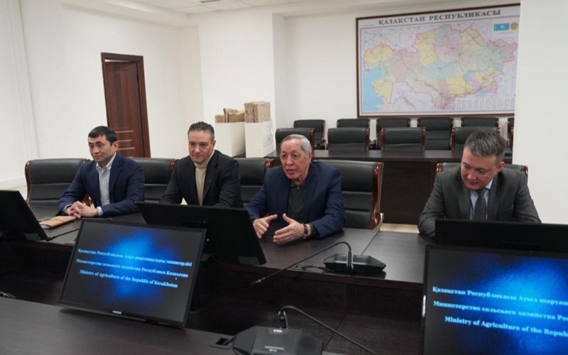 Kazakhstan expands wool processing industry