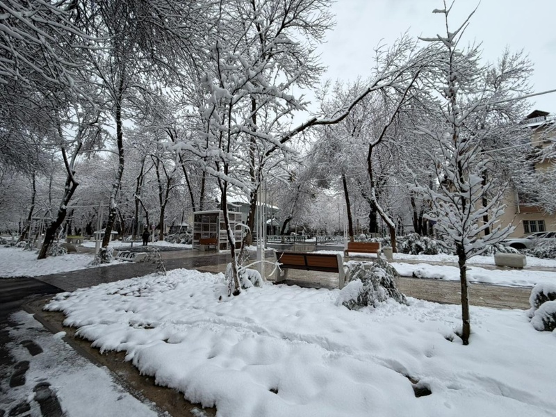 После дождя и снегопада Шымкент накроют морозы После дождя и снегопада Шымкент накроют морозы
