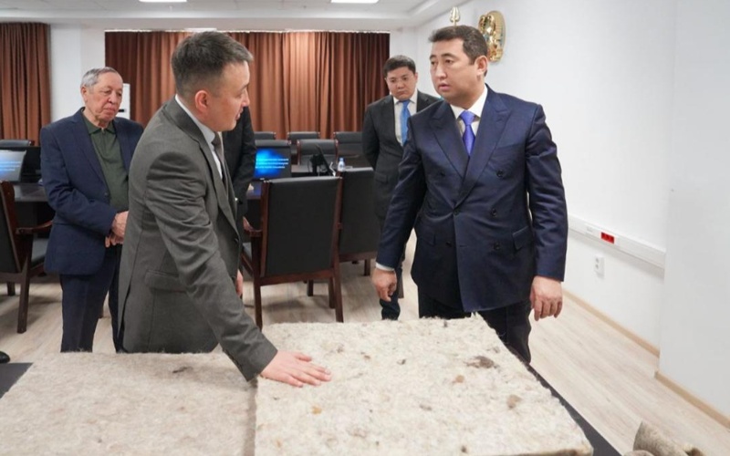 Kazakhstan expands wool processing industry