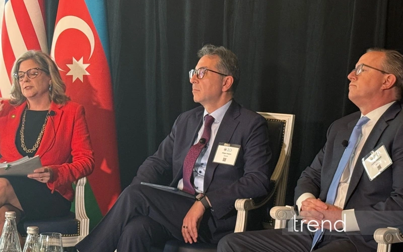 Azerbaijan shows interest in energy storage projects to support energy transition