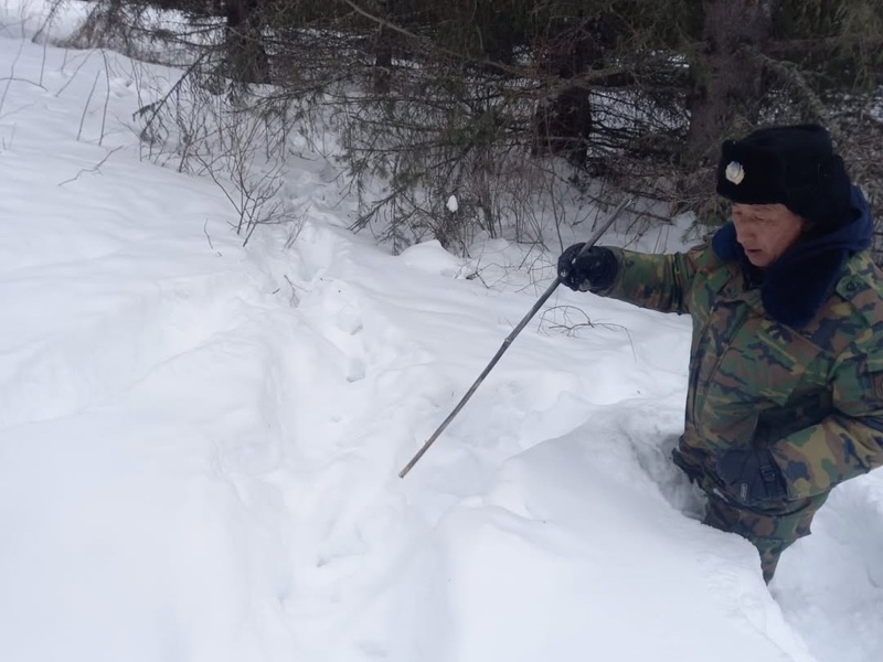 Лесники подкармливают диких животных