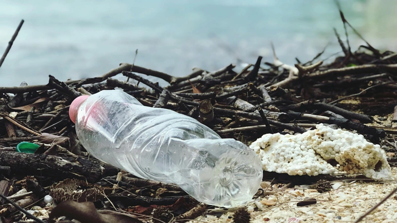 Türkiye to ban single-use plastics by yearend