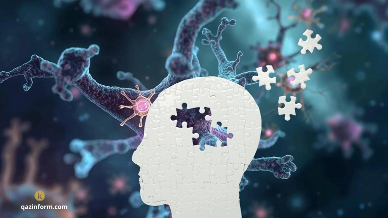 Scientists discover brain cells that clear Alzheimer’s proteins