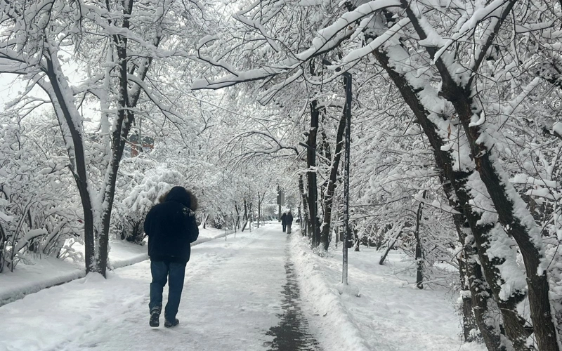 Алматыда бір түнде 27 сантиметр қар жауды