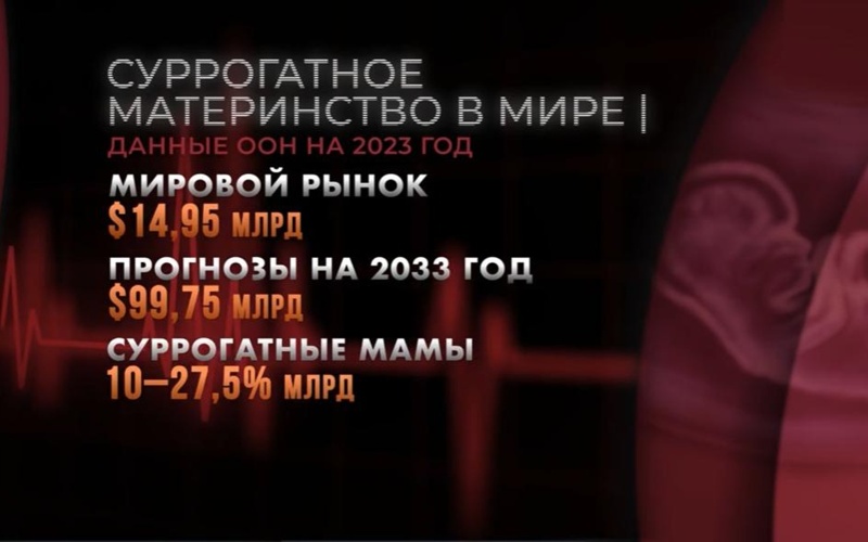 Кто зарабатывает на суррогатных матерях из Казахстана - специальный репортаж 