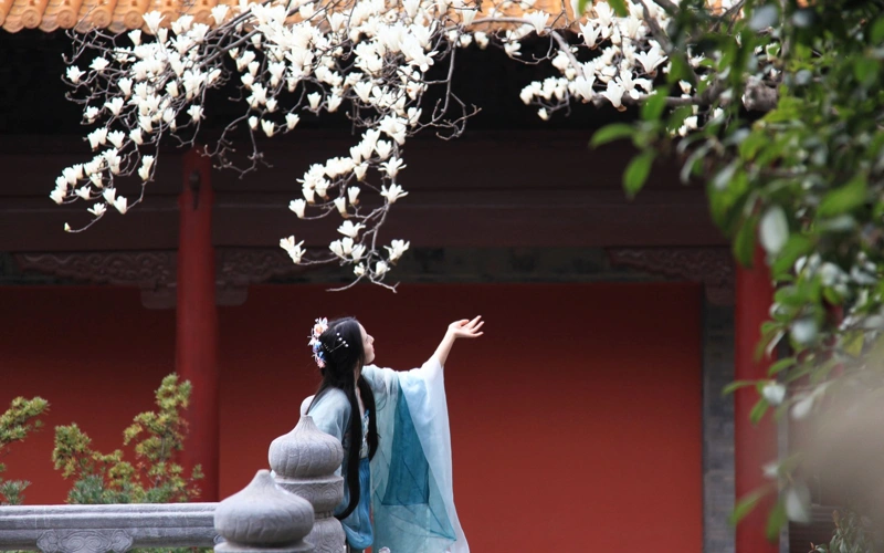 China Focus: From China to world's wardrobes: The rise of Hanfu fashion