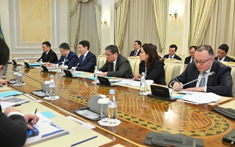 Токаев раскритиковал банки за&nbsp;затягивание подключения к&nbsp;цифровой финансовой инфраструктуре