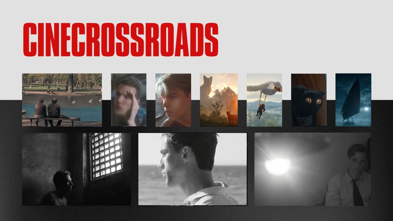 CineCrossroads: “Stranger,” “Good Will Hunting,” “Flow”