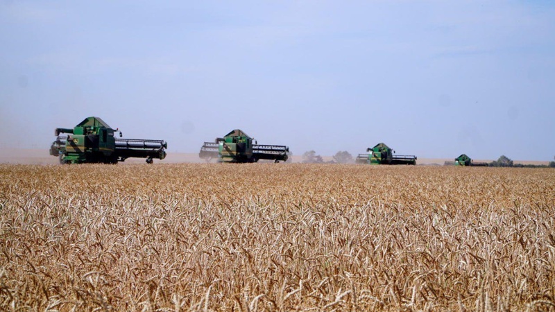 растениеводство