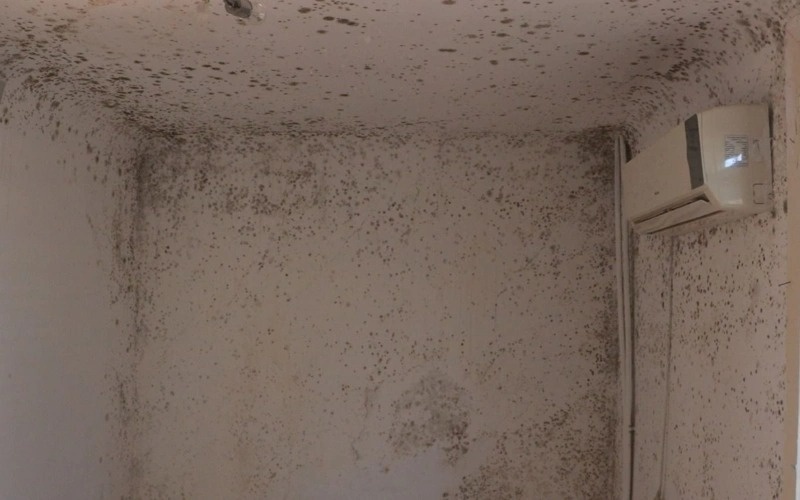 Жители аварийного дома в Атырау просят решить жилищный вопрос