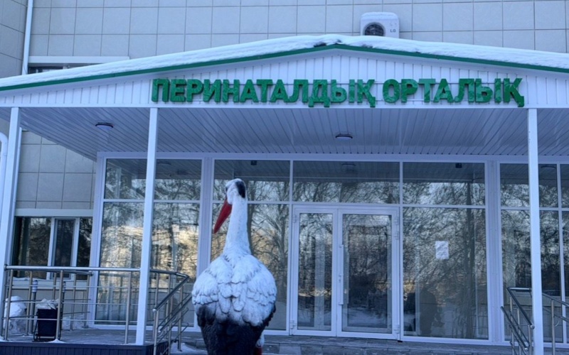 перинатальный центр роддом