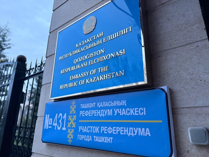 референдум ч