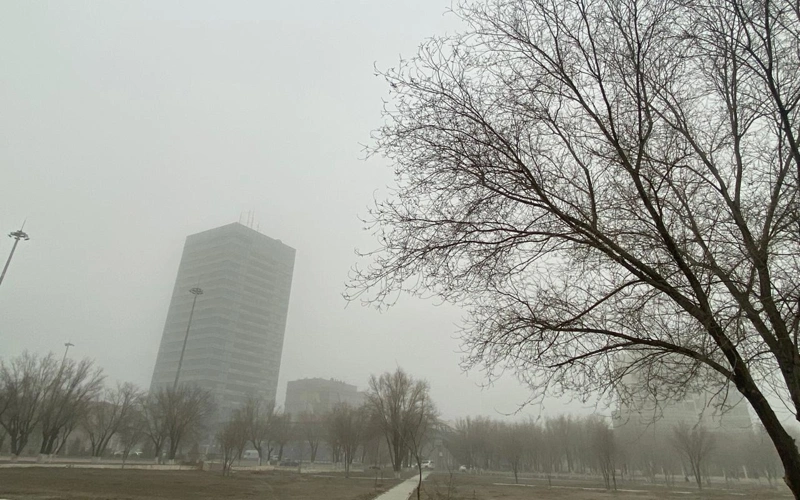 shańdy jel