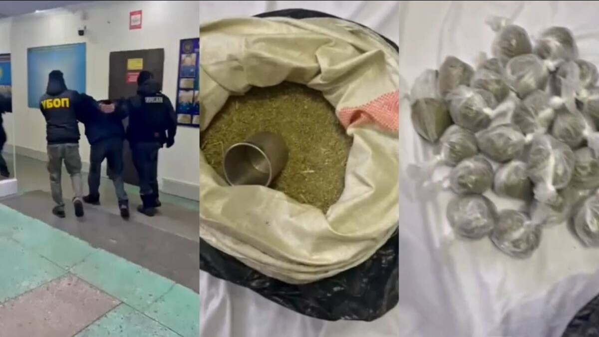 Есірткімен күрес: жыл басынан бері қаншы қылмыс тіркелді