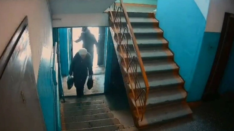 Павлодарда зейнеткерді тонамақ болған күдікті қамалды