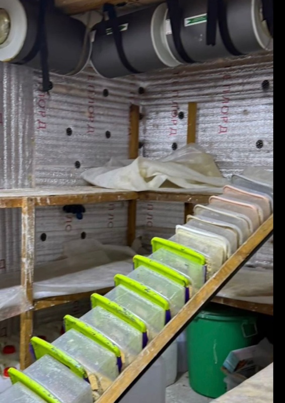 Крупный канал синтетики и нарколабораторию накрыли в Шымкенте