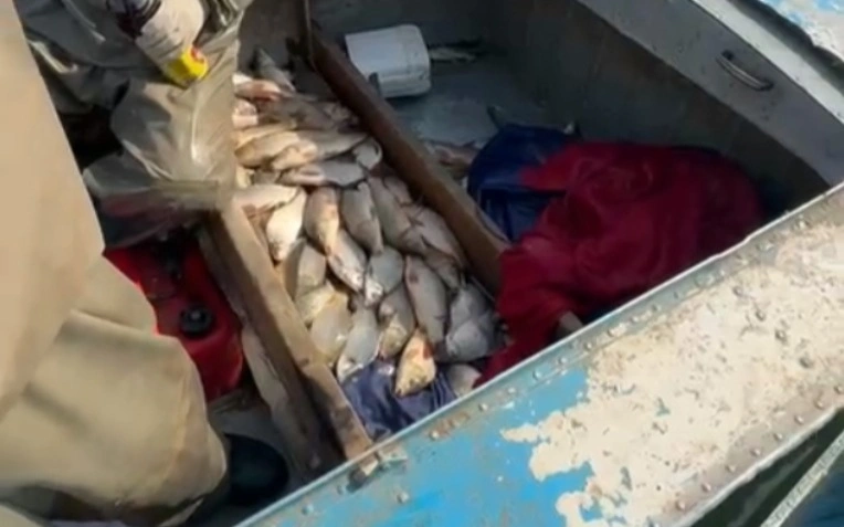Браконьеров с уловом в 130 кг задержали на Шардаринском водохранилище