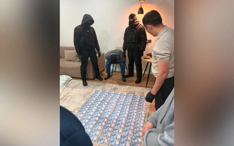 Оглашен приговор алматинцу, пытавшемуся продать почку в Кокшетау