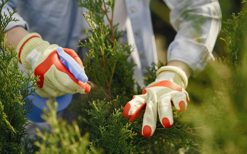 Urea prices up 1.6% to exceed $610