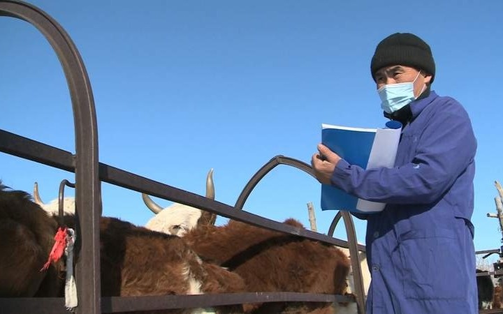 Ветеринарияның тиімділігін арттыру: бюджеттен қосымша қаражат бөлінеді