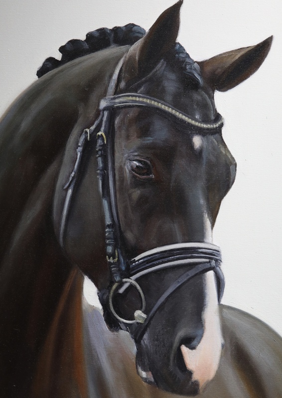 Портрет лошади 